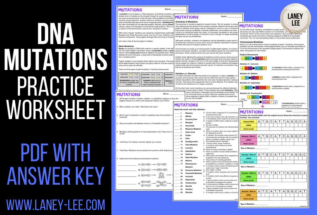 genetic disorders worksheet answer key genetic disorders worksheet answer key