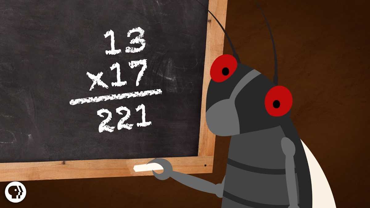 from prime time for cicadas answer key from prime time for cicadas answer key