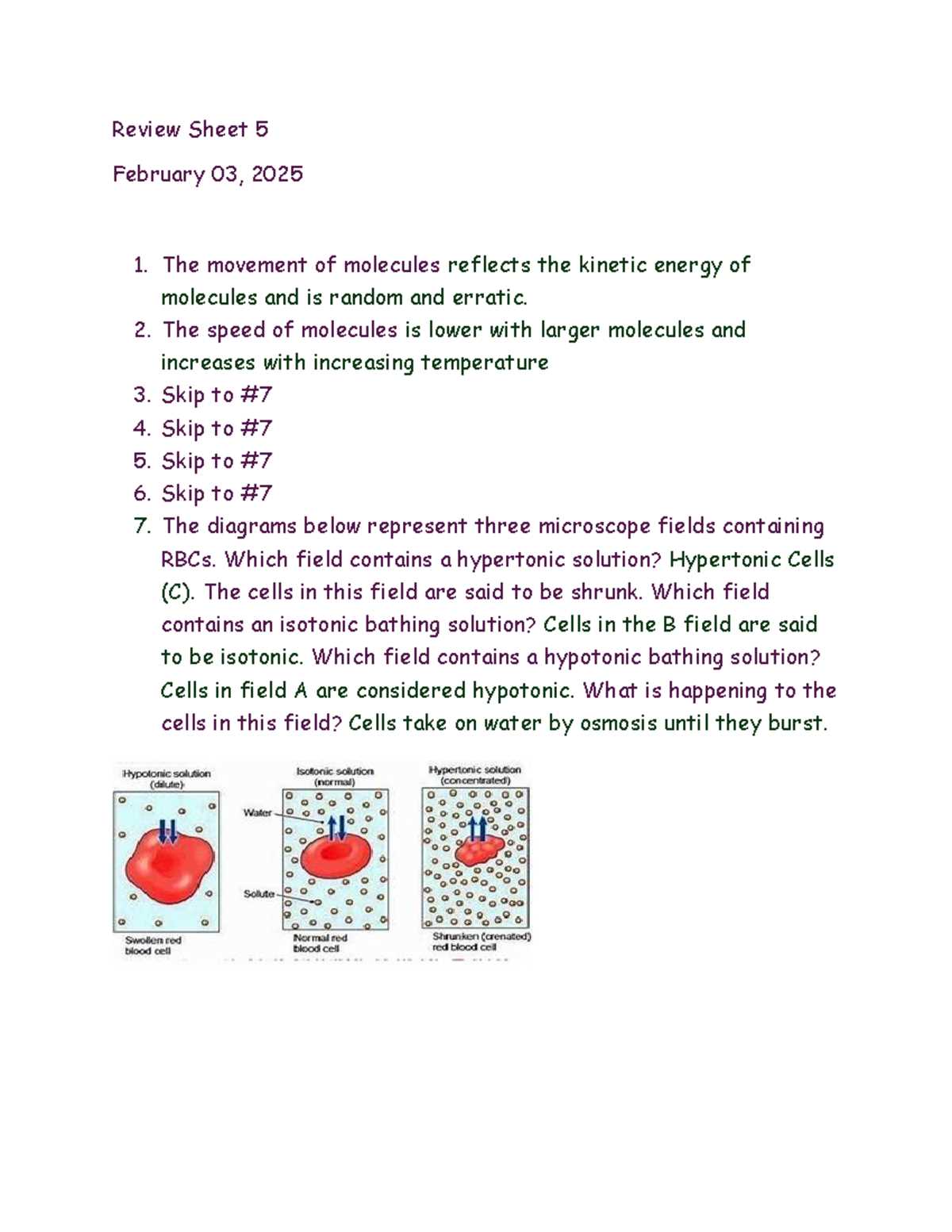 answer key virtual microscope lab worksheet answers