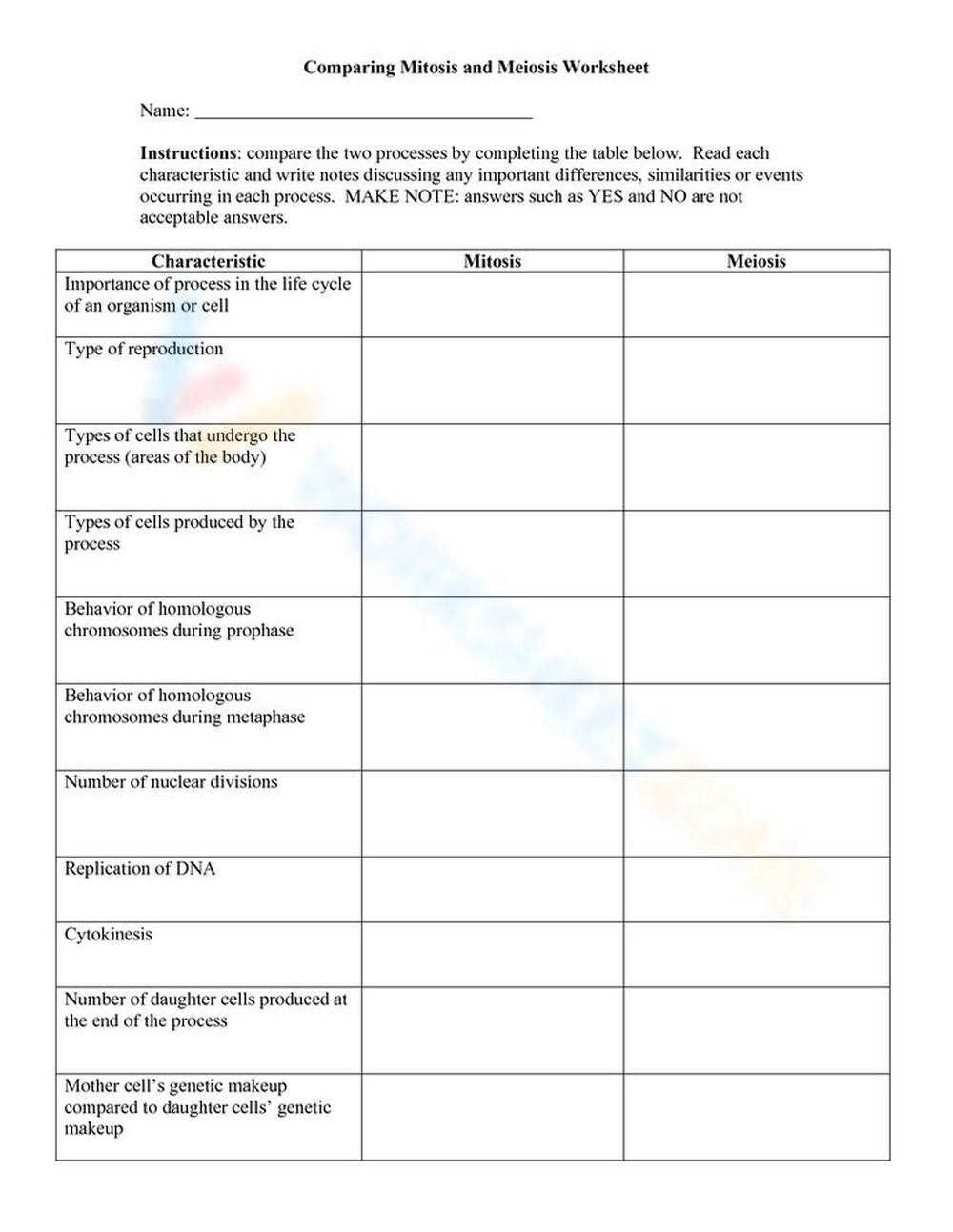 the cell cycle mitosis and meiosis worksheets answer key