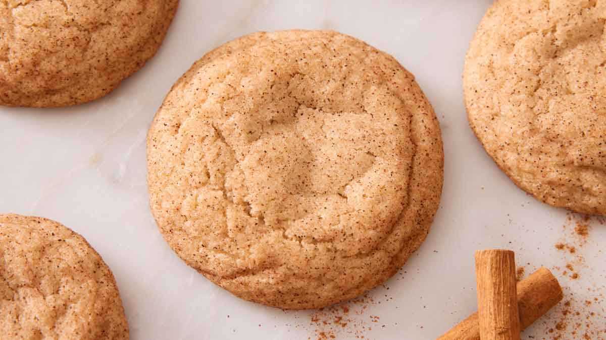 chemistry cookie project snickerdoodle answer key chemistry cookie project snickerdoodle answer key