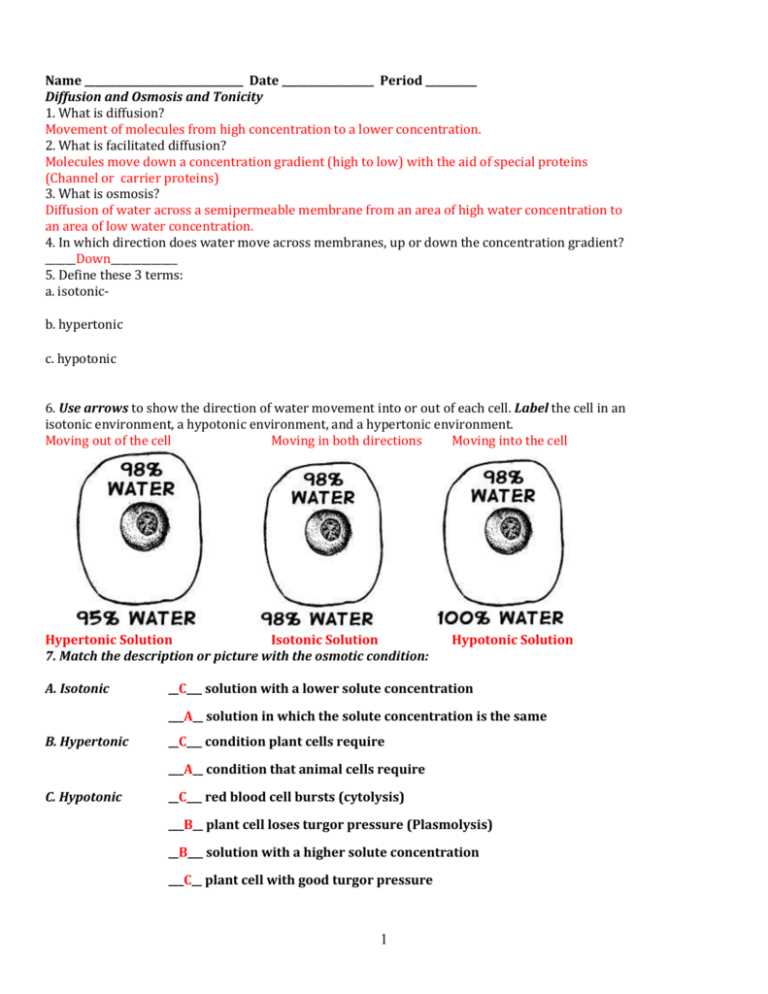 diffusion practice worksheet answer key