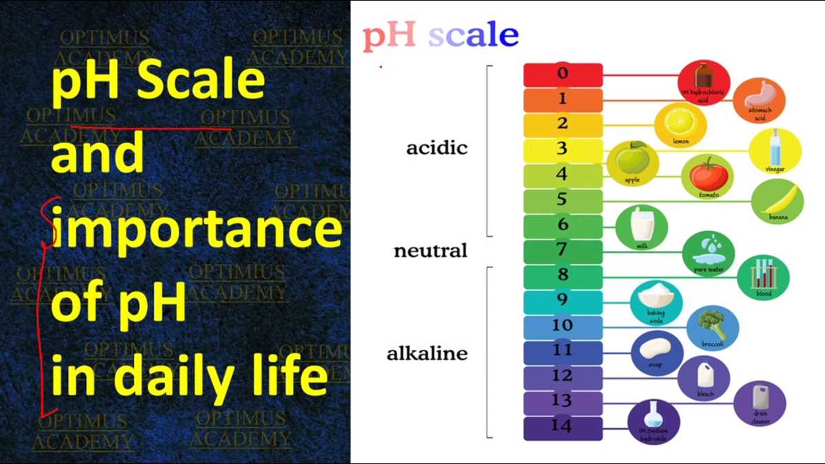 brainpop ph scale answer key