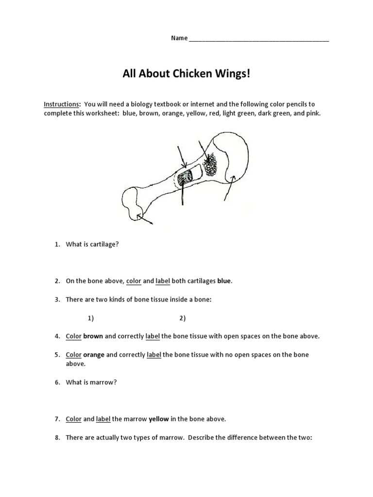 chicken wing dissection page 2 answer key