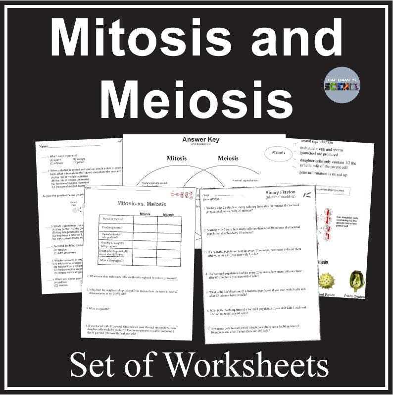 mitosis versus meiosis worksheet answer key