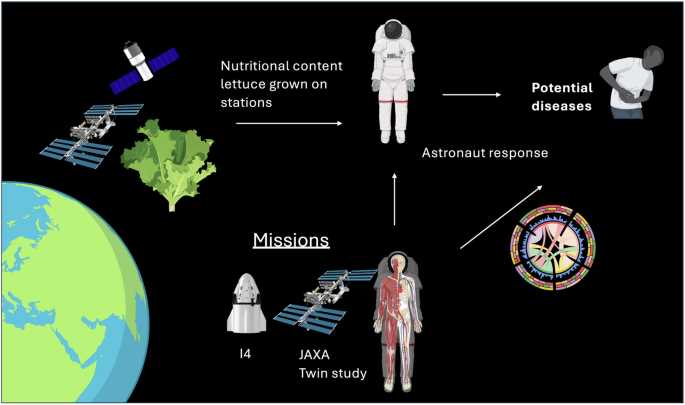 science fusion grade 6 space science answer key science fusion grade 6 space science answer key